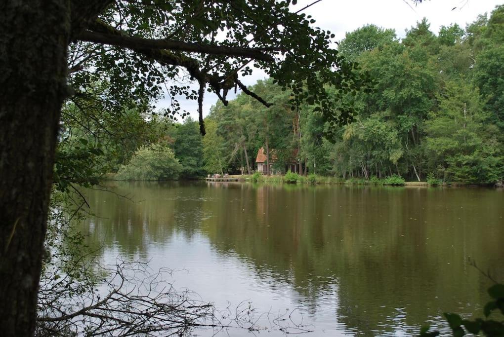 Paradis Perdu En Sologne Avec Plage Privee Villeny ภายนอก รูปภาพ